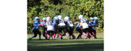 Beaverdam Bobcats