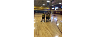 BYL Basketball